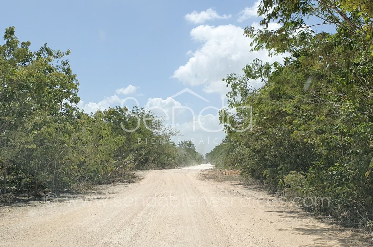 2019-08-09_18_45_47_19WE-01-Venta-terreno-playa-del-carmen-10.jpg
