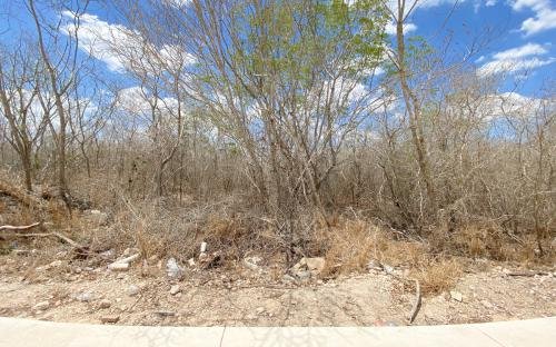 1558-44599-Terreno-en-Venta-en-Conkal-Yucatan-sobre-avenida_(3).jpg