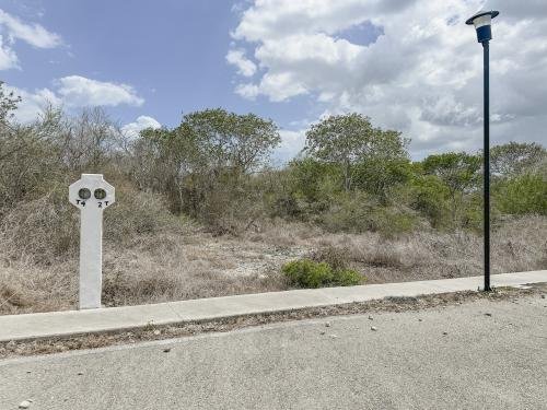 1780-49445-Terreno-en-venta-de-2000-metros-cuadrados-en-el-norte-de-Merida-Phula-Dzidzilche_(15).jpg
