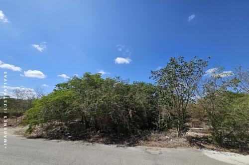 1906-51932-Terreno-en-venta-en-Dzitya-Merida-en-esquina-urbanizado_(4).jpg
